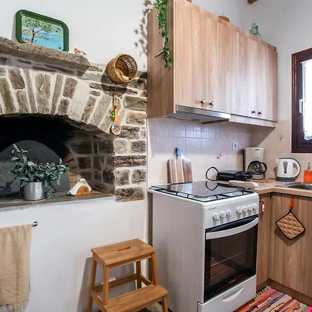 Savvas's Traditional House Paros * Moni Christou Dasous